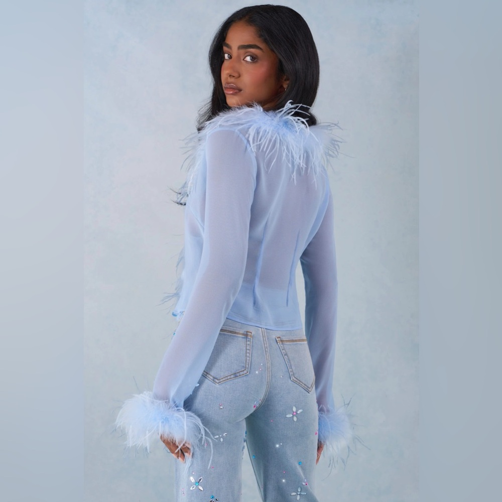 Oh Polly Feather Trim Sheer Top in Soft Blue - Picture 2 of 3